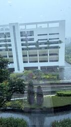 Vision Exchange (D22), Office #633246941